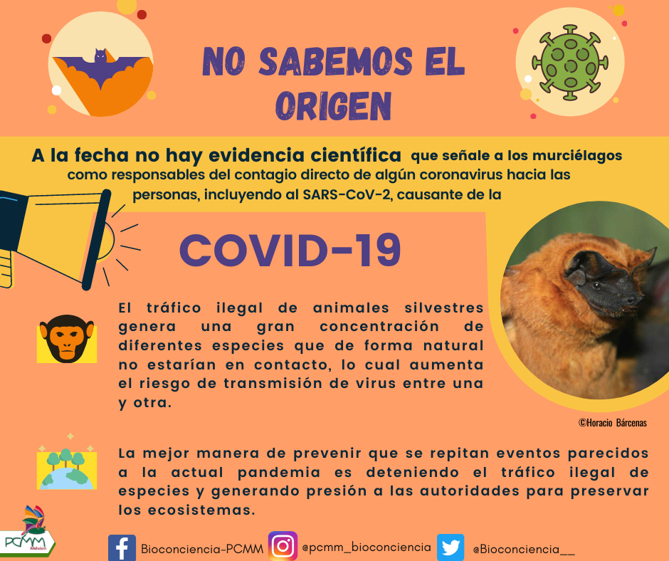 Infografía 